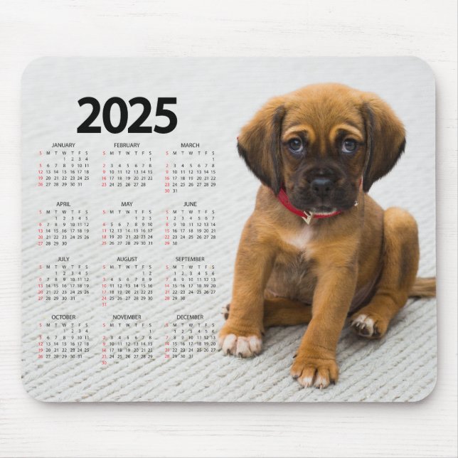 Fin brun marionett 2025-Hund Musmatta (Framsidan)