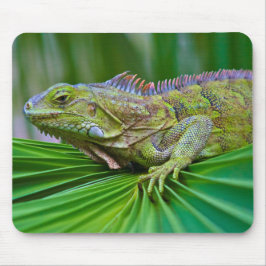 Fin Chameleon Mouse Pad Musmatta