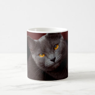 Fin chartreux kaffemugg