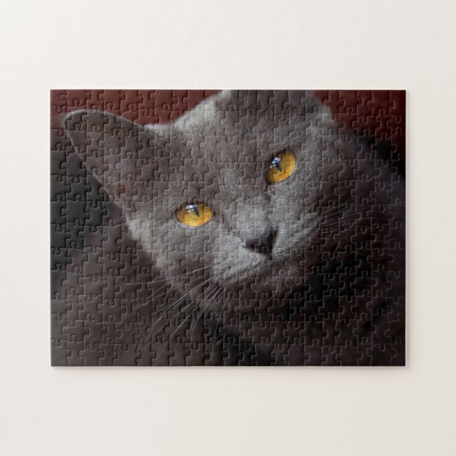 Fin Chartreux-pussel Pussel (Horisontell)