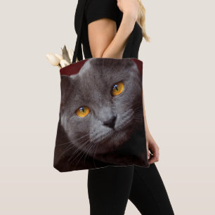 Fin Chartreux Tygkasse