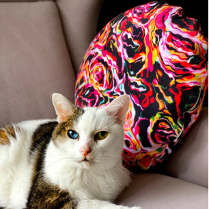 Fin Coola, färgstark Funky Rund Kudde