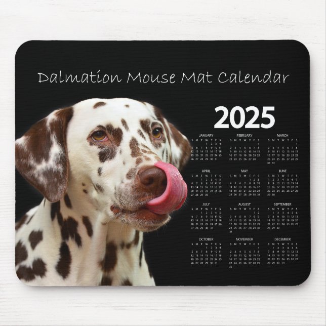 Fin Dalmatien Hund 2025 Kalender Musmatta (Framsidan)