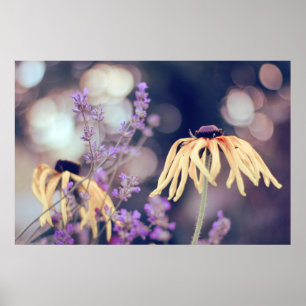 Fin Elegant Dreamy Coneflowers Lavender Poster