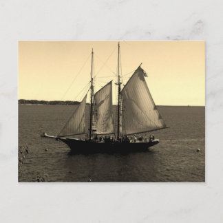 Fin frakt på havet vykort