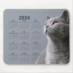 Fin Grått Cat 2024 Kalendermus Pad Musmatta