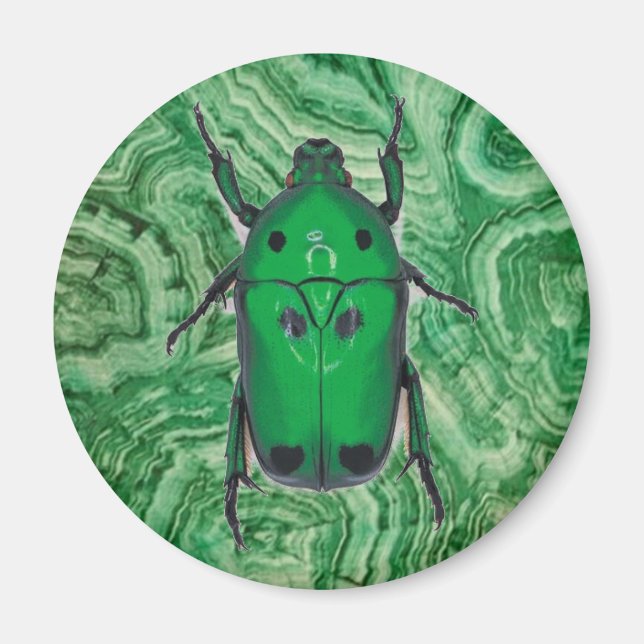 Fin Grönt Beetle på Malachite Magnet (Framsidan)