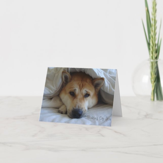 Fin, gullig hund att tänka på dig kort (Framsida)