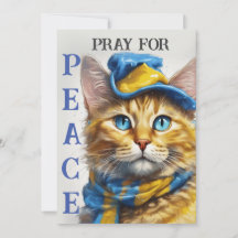 Fin Gult Katt med Blue Öga - Ukraina