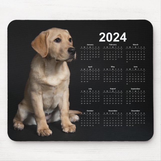 Fin Gult Labrador Retriever 2024 Kalender Musmatta (Framsidan)