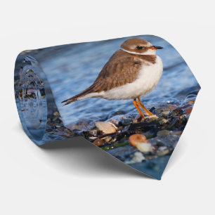 Fin, halvhjärtad Plover vid Beach Slips