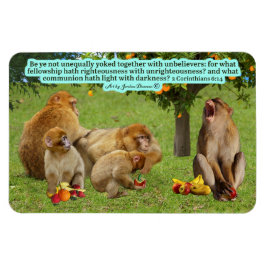 Fin handklocka 2 Corinthians 6:14 Magnet