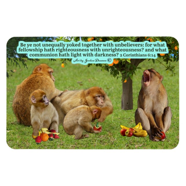 Fin handklocka 2 Corinthians 6:14 Magnet (Horisontell)