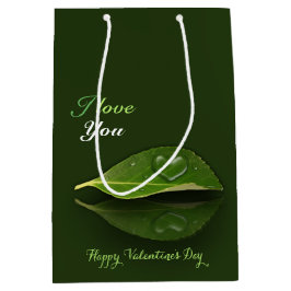 Fin hjärtsformad droplet Vatten på Löv