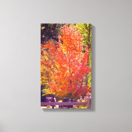 Fin Höst färger 2 Canvastryck