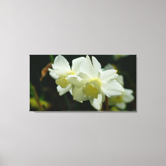 Fin i vitt canvastryck