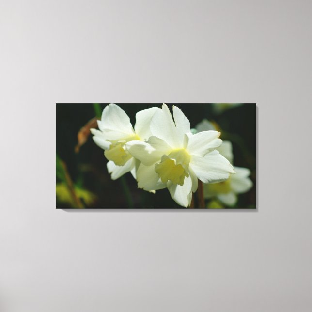 Fin i vitt canvastryck (Framsida)