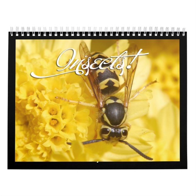Fin Insekter kalender 2018 (Omslag)