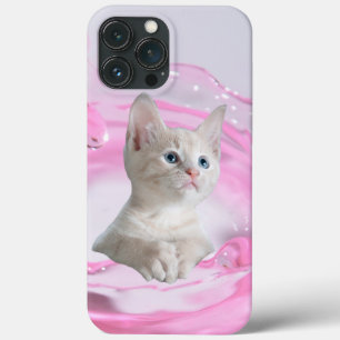 Fin katt