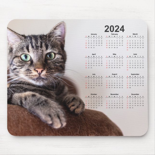 Fin kattvila 2024-kalender musmatta (Framsidan)