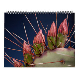 Fin konsfotografi av Cacti och Succulents Kalender