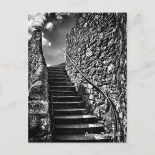 Fin konst, Barbican Steps, Plymouth Vykort