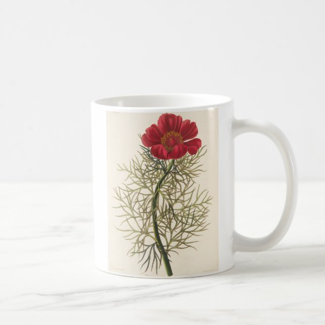 Fin Leaved Paeony Kaffemugg (Höger)