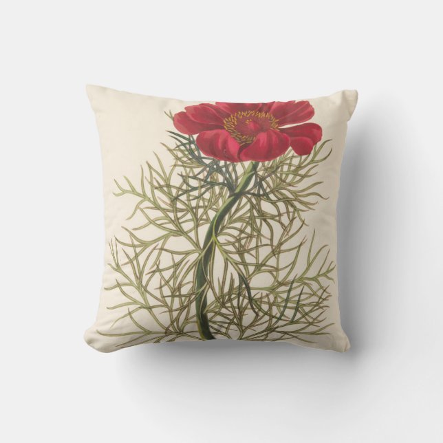 Fin Leaved Paeony Kudde (Framsida)