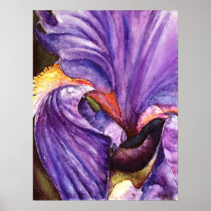 Fin Lila Iris Art-utskrift Poster