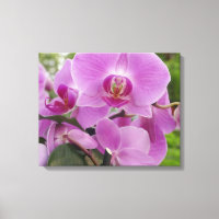 Fin lila orchid i fullt bloom.