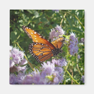 Fin, ljus Orange, monarch Butterfly Resting Magnet