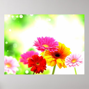 Fin, lugn, snygg blommigt poster