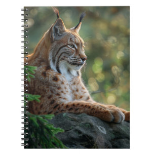 Fin lynx-uppmjukning på sten anteckningsbok