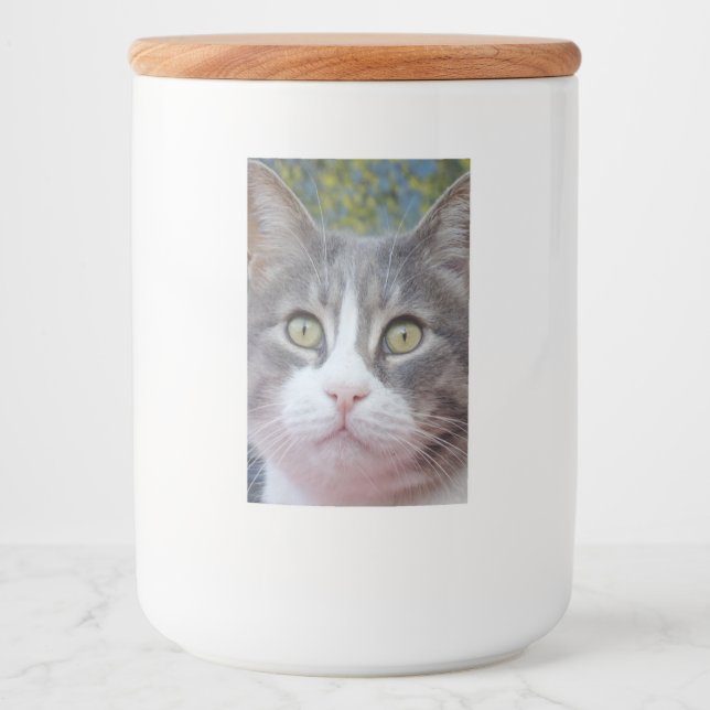 Fin märkning med Tittar matbehållare Mat Etikett (Framsida)