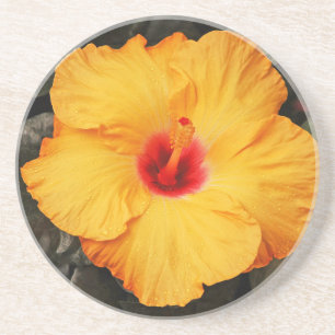 Fin orange hibiscus-blomma underlägg sandsten
