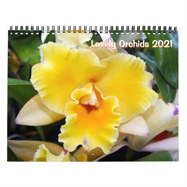 Fin Orchids 2021-kalender Kalender (Omslag)