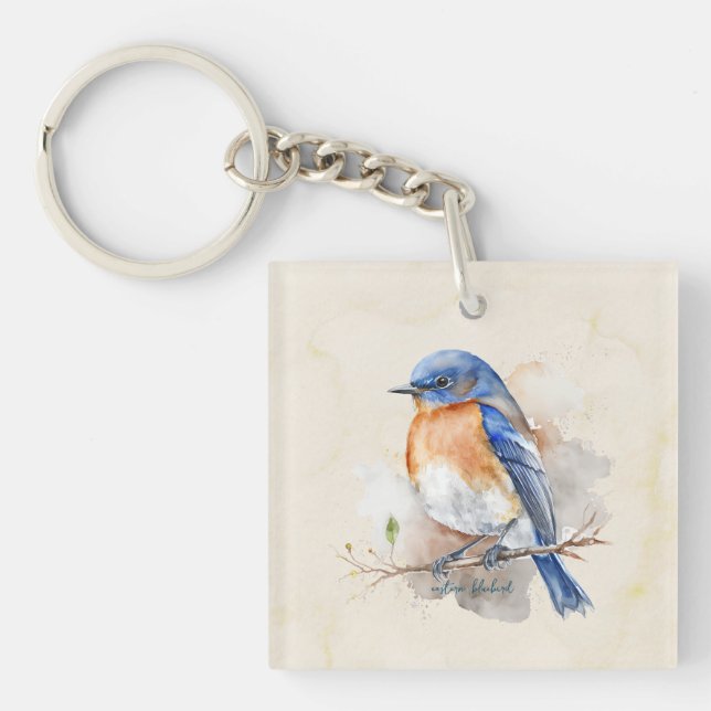 Fin Östra Bluebird Orange Blue Watercolor (Framsidan)