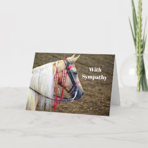 Fin Palomino Horse Photo Sympathy Kort