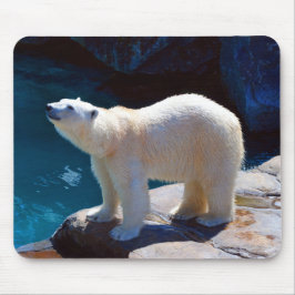 Fin Polar Bear Mouse Pad Musmatta