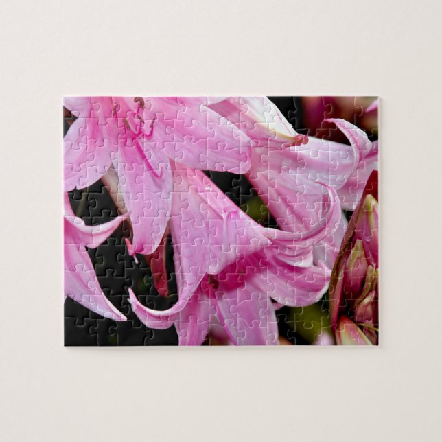 Fin rosa lever pussel (Horisontell)