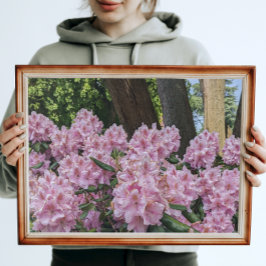 Fin Rosa Rhododendron Blommigt Fototryck