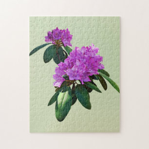Fin Rosa Rhododendrons Pussel