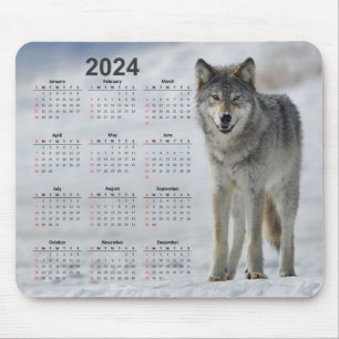 Fin timmer Varg 2024 Kalender Musmatta