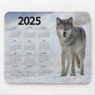 Fin timmer Varg 2025-kalender Musmatta