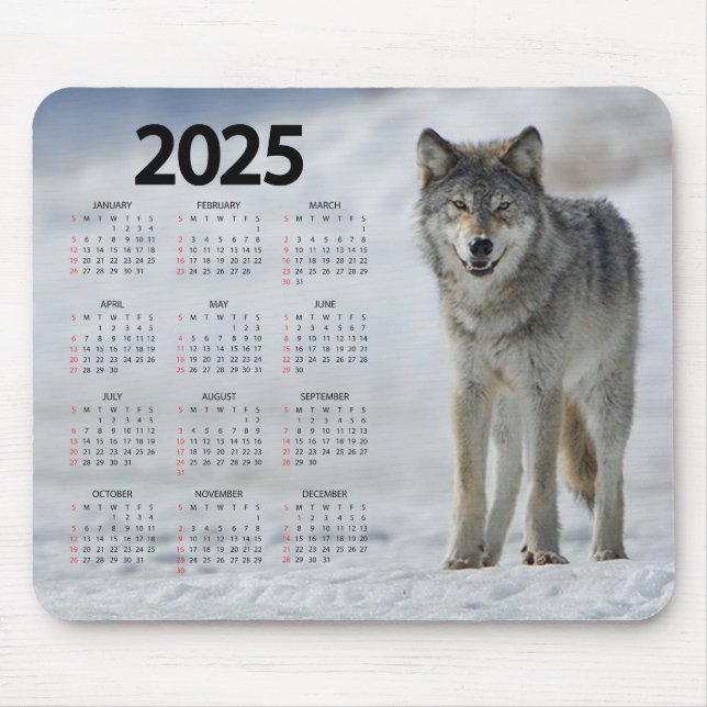 Fin timmer Varg 2025-kalender Musmatta (Framsidan)