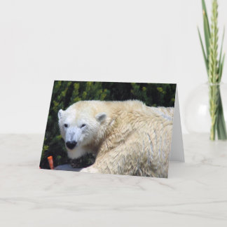 Fin, unik Polar Bear-Anpassningsbar Kort