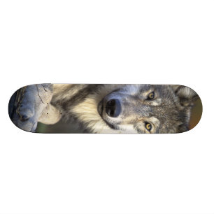 Fin Varg Old School Skateboard Bräda 18 Cm