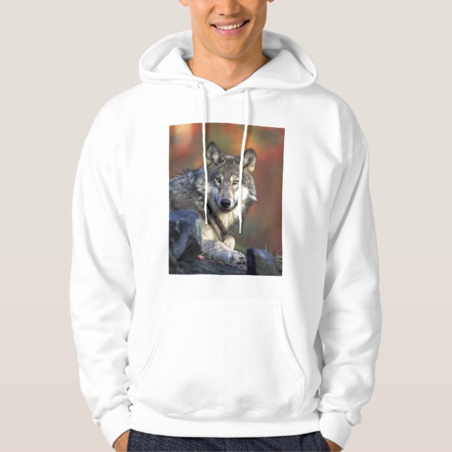 Fin Varg Sweatshirt Med Luva (Framsida)