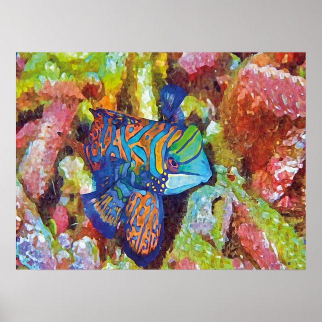 Fin vattenfärg Mandarinfish design Poster (Framsidan)