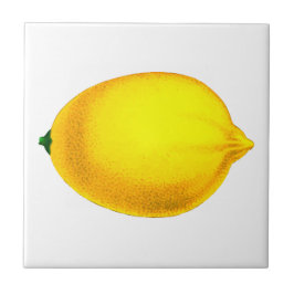 Fin vattenfärgscitron kakelplatta